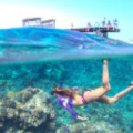 Escape to Egypt’s Red Sea this summer for the ultimate family holiday
