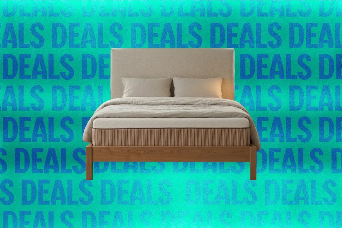 My favorite organic mattress is discounted right now 102026 top art source essentia